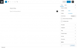 Page screenshot: Add New Post &lsaquo; Test site &mdash; WordPress