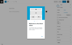 Page screenshot: Add New Post &lsaquo; Test site &mdash; WordPress