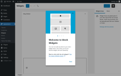 Page screenshot: Widgets &lsaquo; Test site &mdash; WordPress