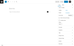 Page screenshot: Add New Post &lsaquo; Test site &mdash; WordPress