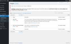 Page screenshot: Plugins &lsaquo; Test site &mdash; WordPress