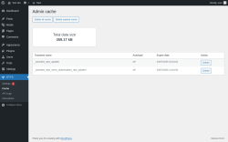 Page screenshot: OTYS → Cache