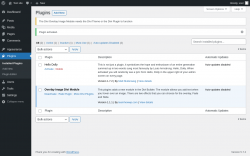 Page screenshot: Plugins ‹ Test site — WordPress