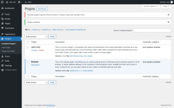 Page screenshot: Plugins ‹ Test site — WordPress