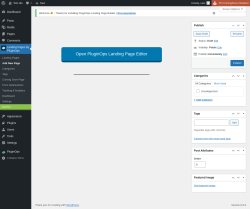 Page screenshot: Landing Pages By PluginOps → Add New Page