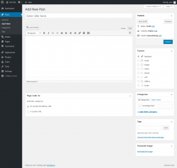 Page screenshot: Add New Post &lsaquo; Test site &mdash; WordPress