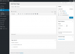 Page screenshot: Add New Page &lsaquo; Test site &mdash; WordPress