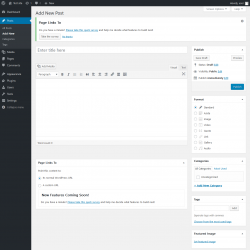Page screenshot: Add New Post &lsaquo; Test site &mdash; WordPress