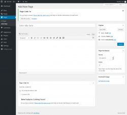 Page screenshot: Add New Page &lsaquo; Test site &mdash; WordPress