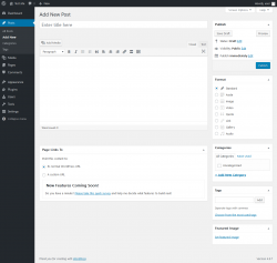 Page screenshot: Add New Post &lsaquo; Test site &mdash; WordPress