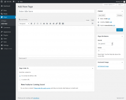 Page screenshot: Add New Page &lsaquo; Test site &mdash; WordPress