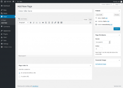 Page screenshot: Add New Page &lsaquo; Test site &mdash; WordPress