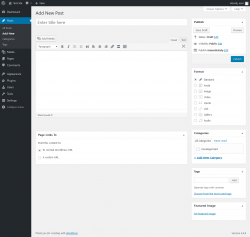 Page screenshot: Add New Post &lsaquo; Test site &mdash; WordPress