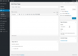 Page screenshot: Add New Page &lsaquo; Test site &mdash; WordPress