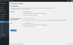 Page screenshot: Settings &rarr; Performance