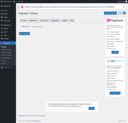 Page screenshot: Pagelayer &rarr; Enable Icons