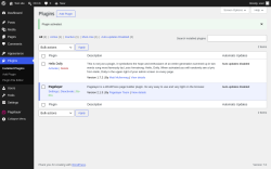 Page screenshot: Plugins &lsaquo; Test site &mdash; WordPress