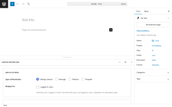 Page screenshot: Add Post ‹ Test site — WordPress