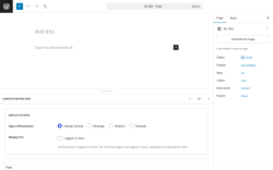 Page screenshot: Add Page ‹ Test site — WordPress