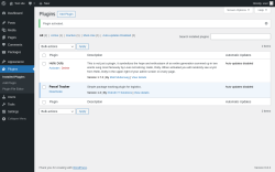 Page screenshot: Plugins &lsaquo; Test site &mdash; WordPress