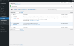 Page screenshot: Plugins &lsaquo; Test site &mdash; WordPress