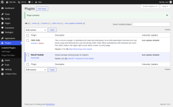 Page screenshot: Plugins &lsaquo; Test site &mdash; WordPress