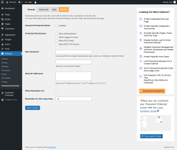 Page screenshot: Settings &rarr; Password Protected