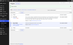 Page screenshot: Plugins &lsaquo; Test site &mdash; WordPress