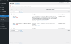 Page screenshot: Plugins &lsaquo; Test site &mdash; WordPress