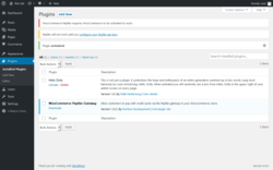 Page screenshot: Plugins &lsaquo; Test site &mdash; WordPress