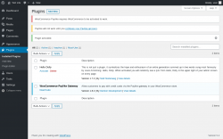 Page screenshot: Plugins &lsaquo; Test site &mdash; WordPress