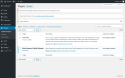 Page screenshot: Plugins &lsaquo; Test site &mdash; WordPress