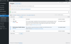 Page screenshot: Plugins &lsaquo; Test site &mdash; WordPress
