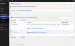 Page screenshot: Plugins &lsaquo; Test site &mdash; WordPress