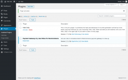 Page screenshot: Plugins &lsaquo; Test site &mdash; WordPress
