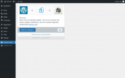 Page screenshot: Payment Page &lsaquo; Test site &mdash; WordPress