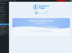 Page screenshot: Payment Page