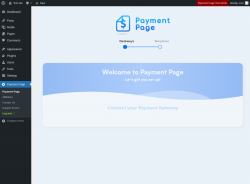 Page screenshot: Payment Page