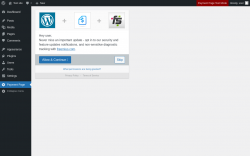 Page screenshot: Payment Page &lsaquo; Test site &mdash; WordPress