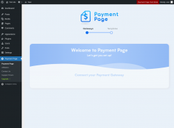 Page screenshot: Payment Page