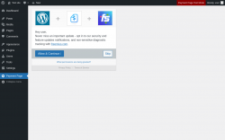 Page screenshot: Payment Page &lsaquo; Test site &mdash; WordPress