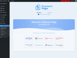 Page screenshot: Payment Page