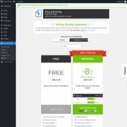 Page screenshot: Payment Page &rarr; Upgrade&nbsp;&nbsp;➤