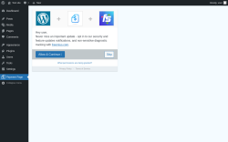 Page screenshot: Payment Page &lsaquo; Test site &mdash; WordPress