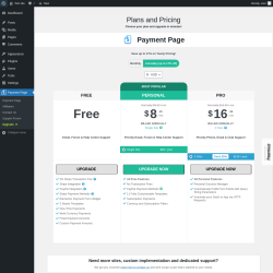 Page screenshot: Payment Page &rarr; Upgrade&nbsp;&nbsp;➤