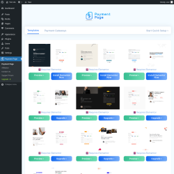 Page screenshot: Payment Page