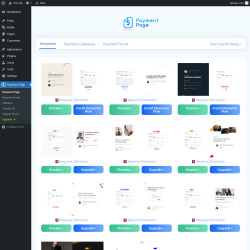 Page screenshot: Payment Page