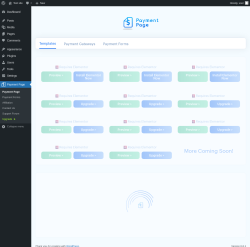 Page screenshot: Payment Page