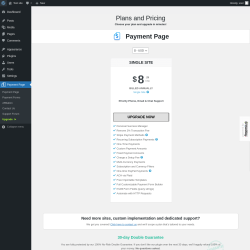 Page screenshot: Payment Page &rarr; Upgrade&nbsp;&nbsp;➤