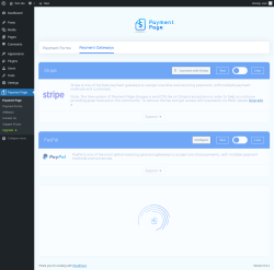 Page screenshot: Payment Page